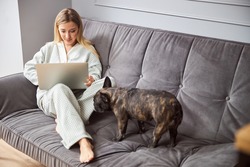 Dog coming closer to its owner, lying on sofa while working on a computer, and sniffing her leg
