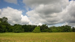 Rain clouds on the background of deciduous forest and meadow. Summer. Web banner.