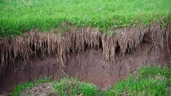 Soil Erosion in the Agricultural Field. 