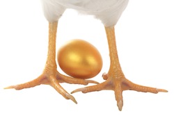 feet hen with gold eggs