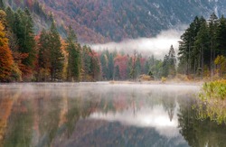 autumnal forest on the lake - morning fog on the Almsee in Grnau im Almtal
