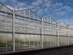 Side view of a new greenhouse against a blue sky in The Netherlands