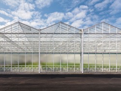 Front view of a new greenhouse in The Netherlands