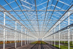 Interior of a partly empty greenhouse against a blue sky