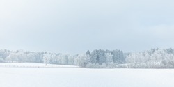 Winter scene with snow on the Dutch Posbank in national park Veluwezoom