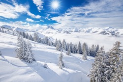 Trees covered by fresh snow in Alps. Stunning winter landscape. 