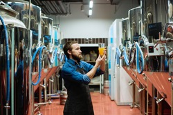 Young bearded brewery worker with glass of beer evaluating its visual characteristics after preparation while working in processing plant
