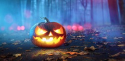 Halloween Pumpkins Glowing In Fantasy Night Forest . Jack O Lantern Holiday Horror Background