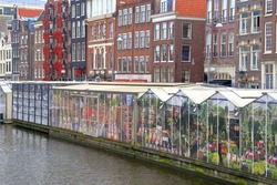 Flower market on traditional street along a canal in Amsterdam, Holland