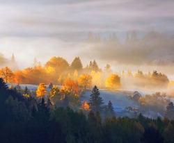 Autumn rural landscape. Natural landscape. The lawn is enlightened by the sun rays. Fantastic scenery with morning fog. Green meadows in frost. Picturesque resort Carpathians valley, Ukraine, Europe.