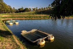Tanks used for raising tilapia on a fish farm in Brazil