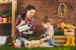 Cute child girl helps her mother to care for plants. Mother and her daughter engaged in gardening in the backyard. Spring concept, nature and care.