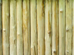 log wood pattern