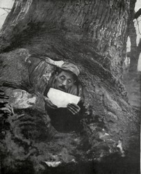 French WW1 soldier in a dugout tree reading a letter. 1916-17. He is near Monastir, on the Macedonia Front.