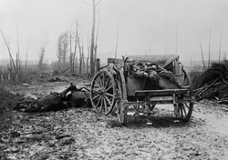Dead WW1 German Artilleryman and horses. 1914-18.