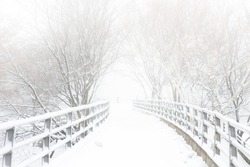 Snow covered footbridge on a foggy winter day