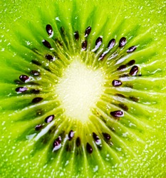 close up of a healthy kiwi fruit