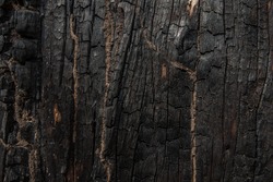 Texture of charcoal