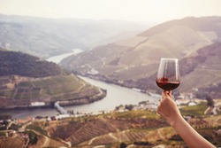 hand holding a glass of red wine on background Landscape of Douro Valley, Portugal. Port Wine  production place