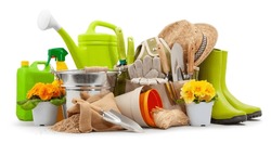 Spring time blooms, pots colorful primroses and vase of daisies, green rubber boots and watering can. Gardening tools, trowel, bucket, seed and spray bottles of pesticides isolated on white background