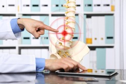 hand doctor pointing the skeleton of spine, hernia concept causes backache