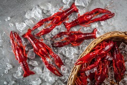 Stock photo of red freshwater crayfish on a metal surface and in a basket with crushed, partly melted ice. Top view.