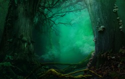 Holy smoke. Mysterious forest, fabulous blue background with holy atmospheric smoke, old trees, crooked branches. Digital backdrop. Thank you buyers 