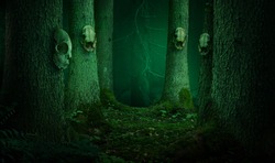 Skulls hanging on the trees in dark enchanted forest. Shamanic pagan witch ritual 