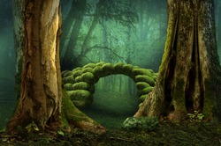 Mossy stone bridge in dark mysterious forest