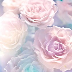 beautiful flowers made with color filters
