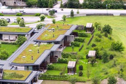 Aerial view of extensive green living sod roofs with vegetation