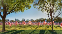 Field of American flags displayed on the honor of Veterans Day celebration on a beautiful autumn morning in Texas. 