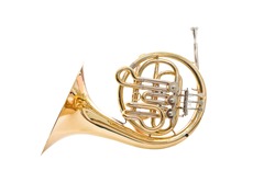 French horn on a white background
