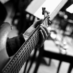 Hand of the musician on strings of a guitar in black and white tones