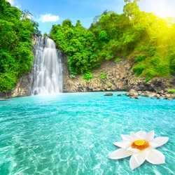 Beautiful lotus flower in waterfall pool. Vietnam