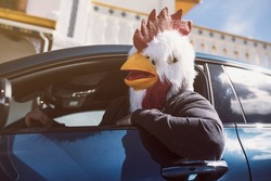 The happy bird man drives a car and sticks his head out