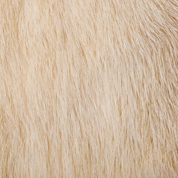 light fur, texture, abstract background