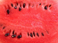 Close up red watermelon background