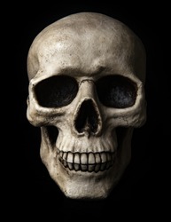 Frontal view at human skull with dramatic lightning is isolated on a black background