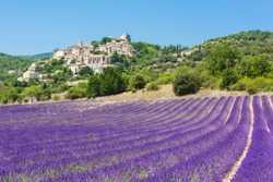 Small but beautiful old town of Simiane la Rotonde with a lavender field in front of it, Provence - France