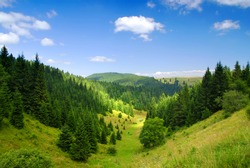 Tatras Mountains covered by green pine forests, Slovakia