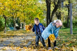 A young brother and sister having fun collecting autumn leaves standing on the grass amongst scattered leaves in a park with copyspace