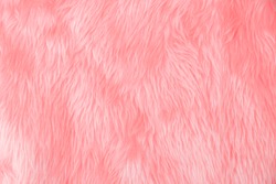 Abstract Pink wool , fabric background