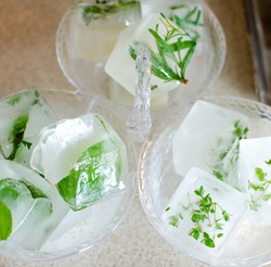 herb infused ice cubes for fun summer beverages and beverage stations. Great for parties.