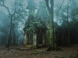Haunted house in the foggy forest