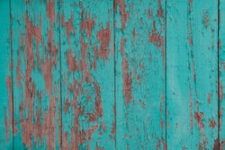 Cracked wooden wall surface close up, aquamarine color old shabby background