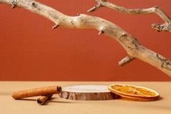 Wood pedestal podium with tree branch, cinnamon sticks, dry orange. Autumn fall cosmetic product presentation.