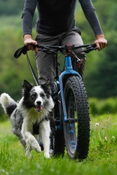 Biking with dog