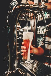 Hand of bartender pouring a large lager beer in tap in bar