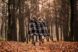 two sisters are twins in the autumn woods covered with blankets